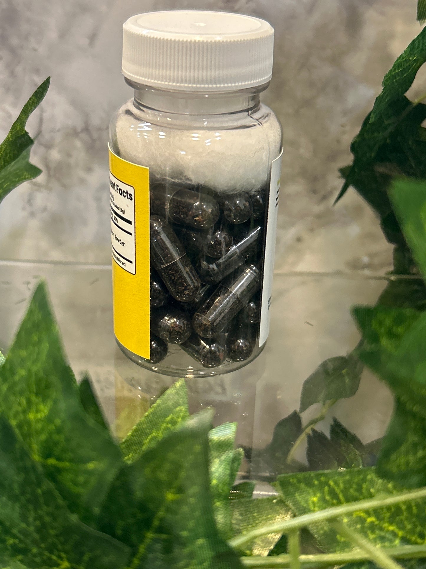 Elderberry Capsules