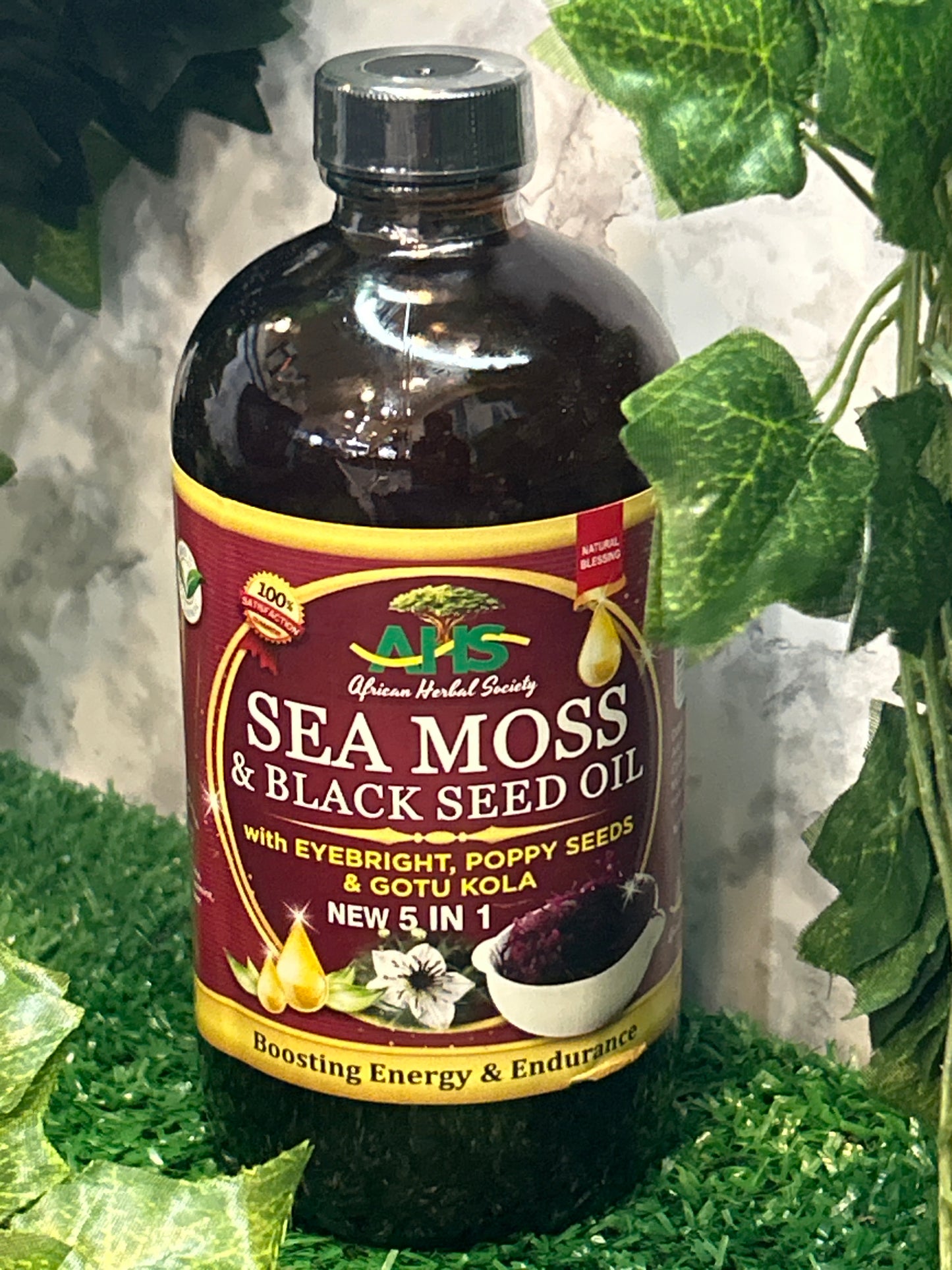 Sea Moss & Black Seed Oil Bitters