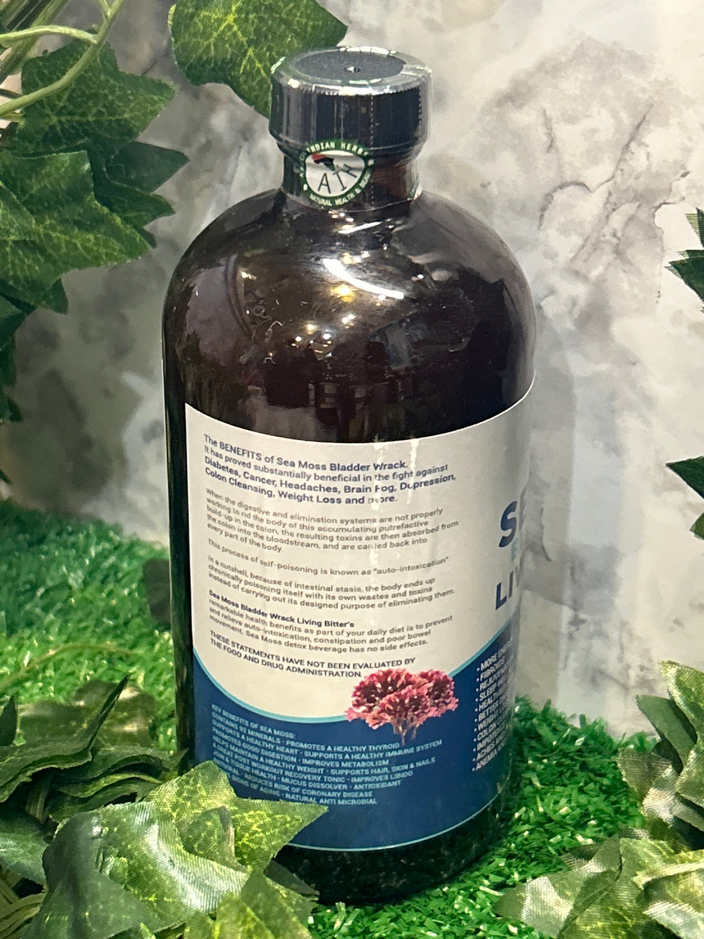 Sea Moss Bladderwrack Living Bitters