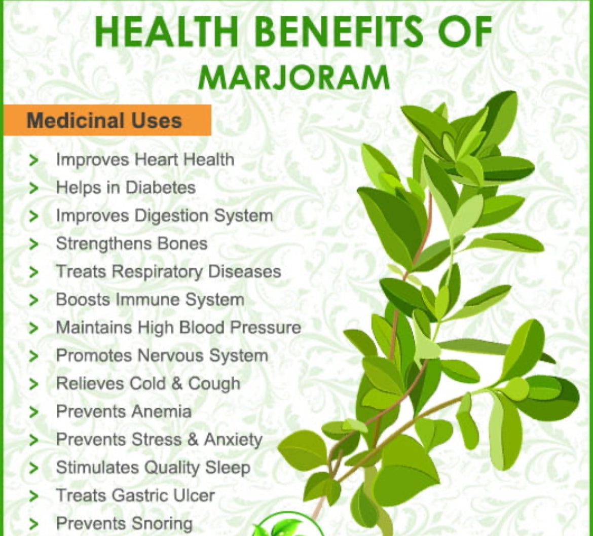 Marjoram Herb