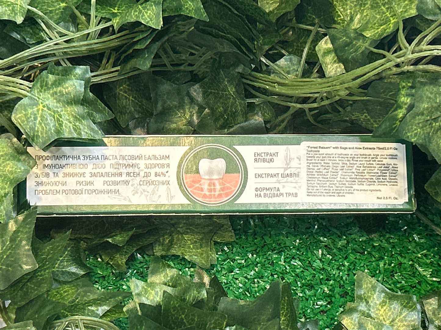 Forest Balsam Toothpaste