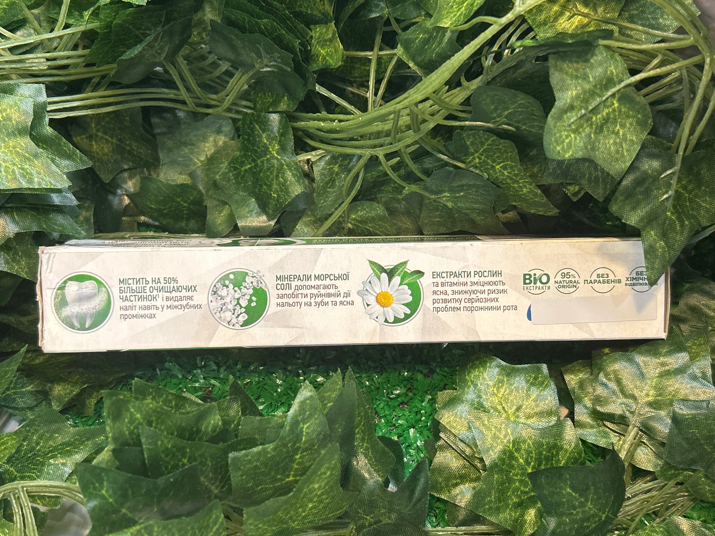 Total Forest Balsam Toothpaste