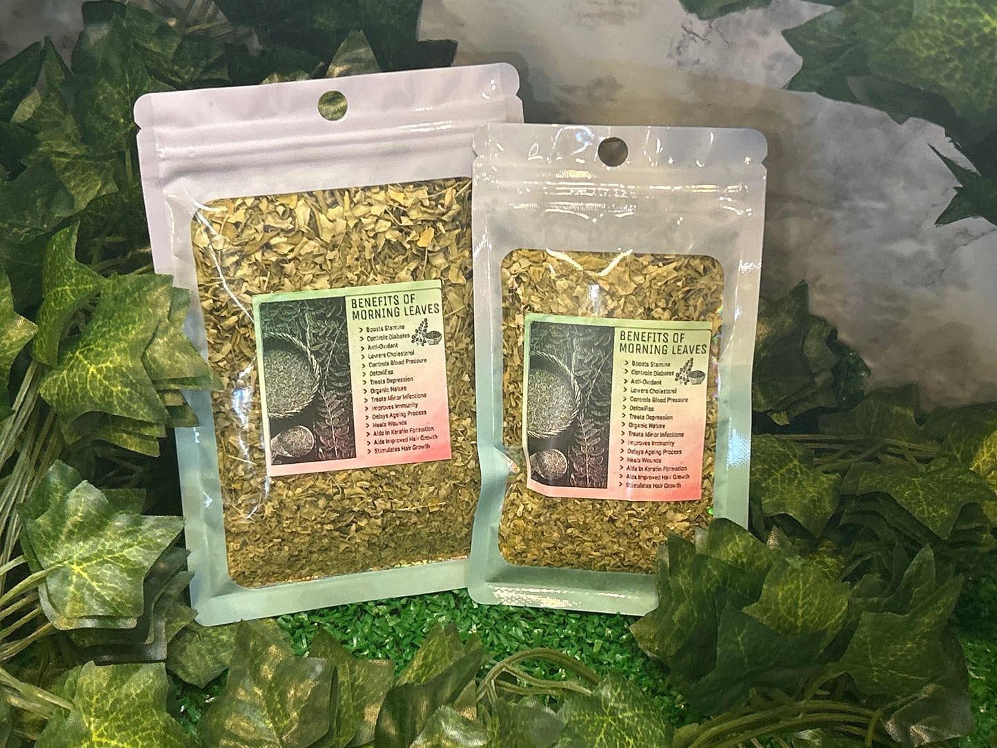 Moringa Leaves Herb