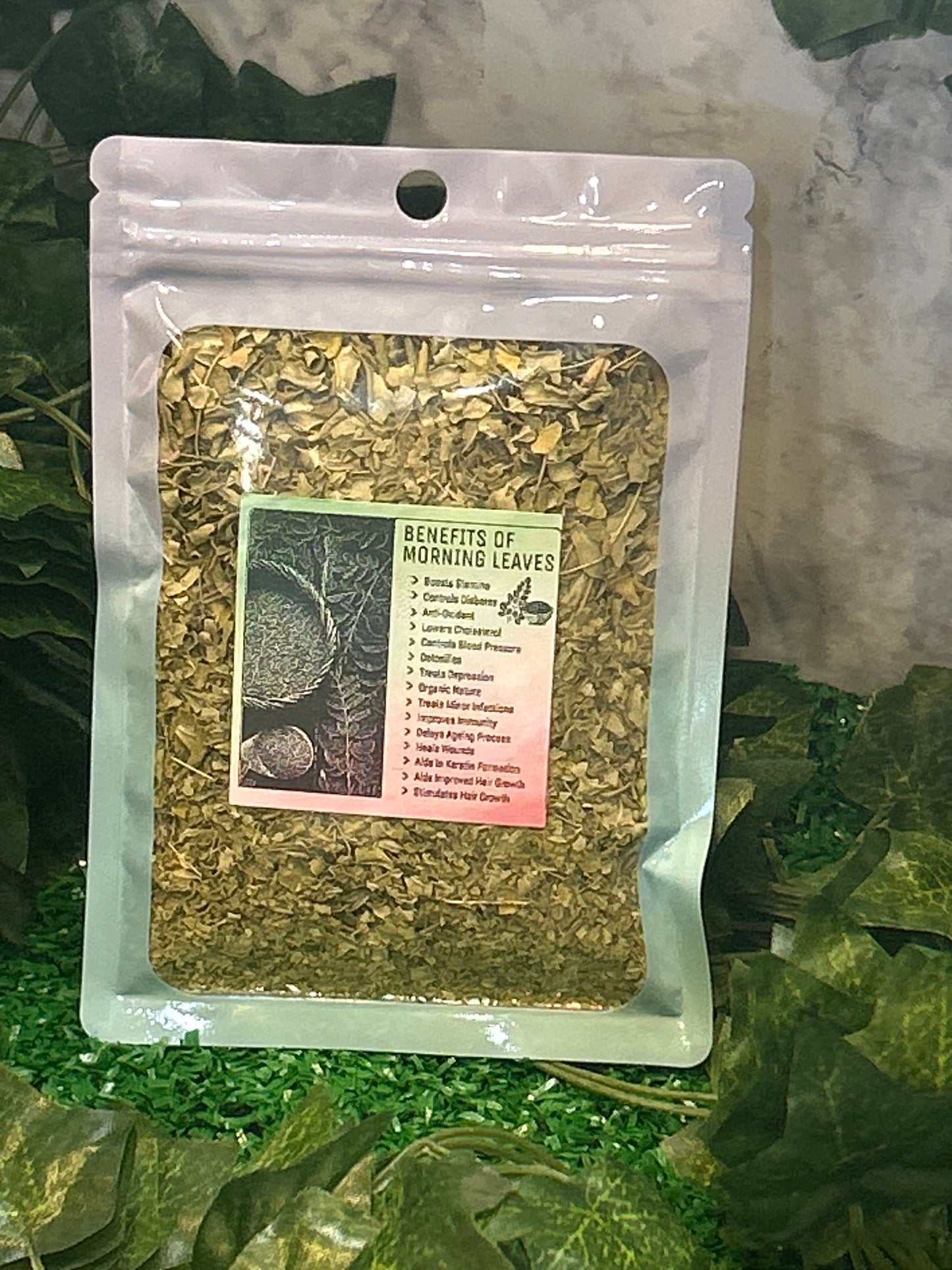 Moringa Leaves Herb