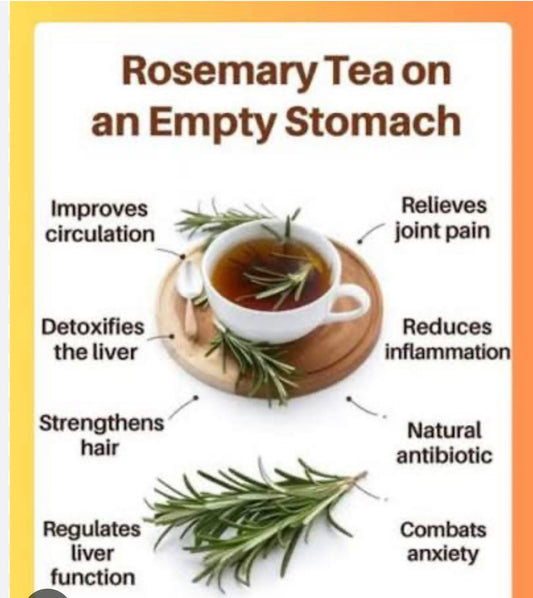 Rosemary Herb