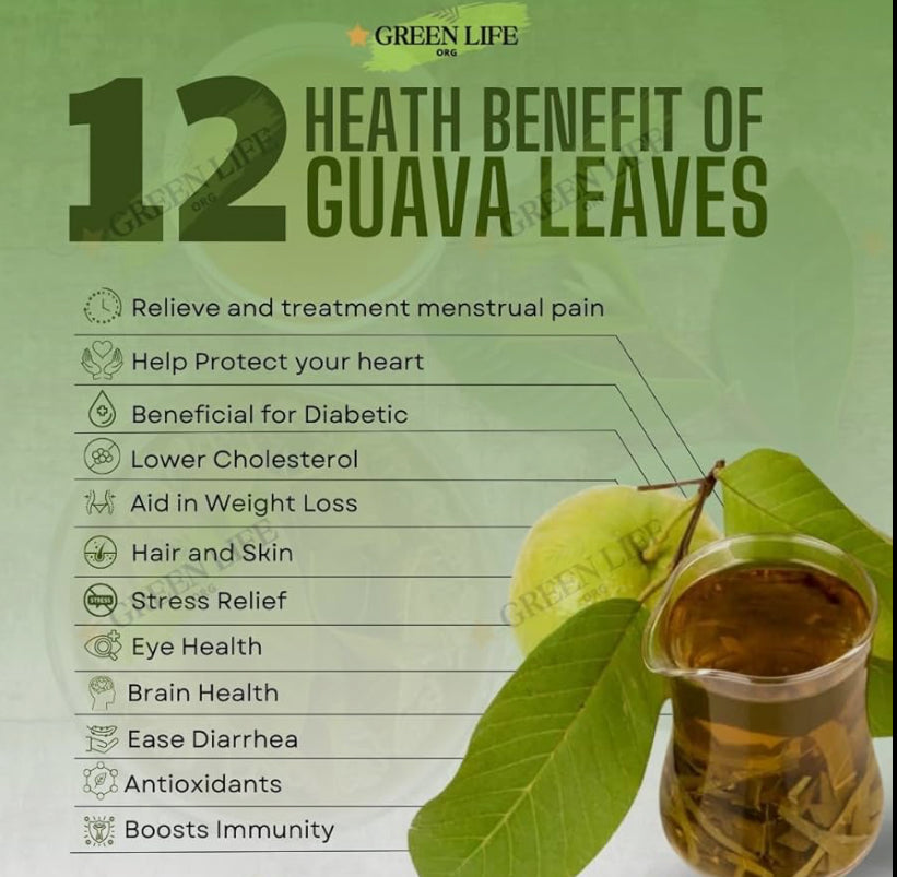 Guava Leaves Herb