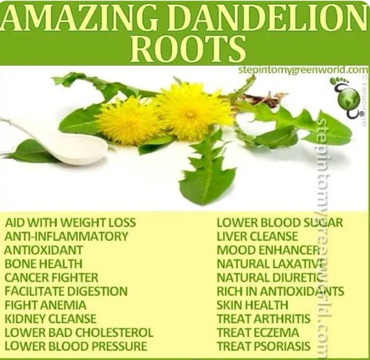 Dandelion Herb