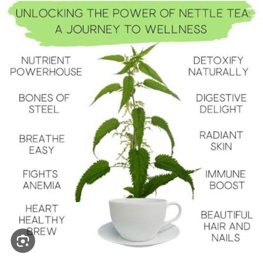 NETTLE HERB