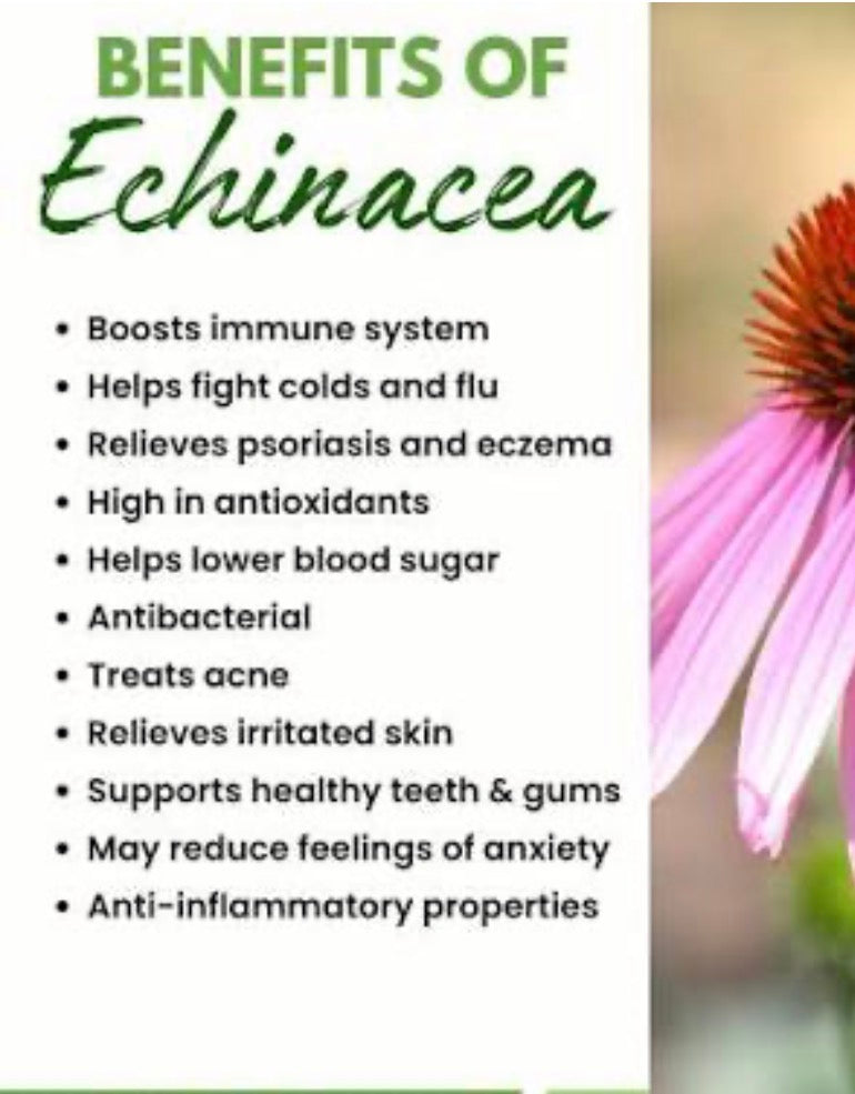 ECHINACEA HERB