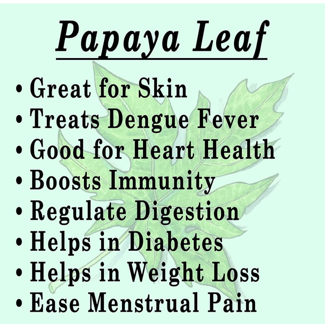 Papaya Leaf  Herb