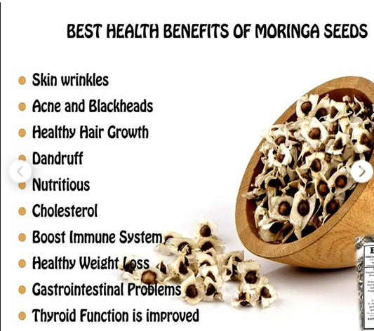 Moringa Seeds Herb