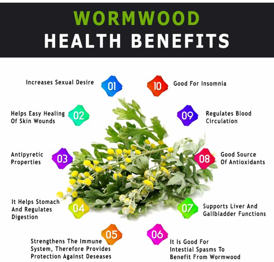 Wormwood Herb