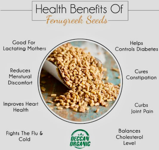 Fenugreek Seeds Herb
