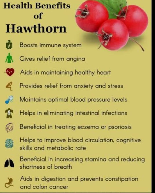 Hawthorn Pasty