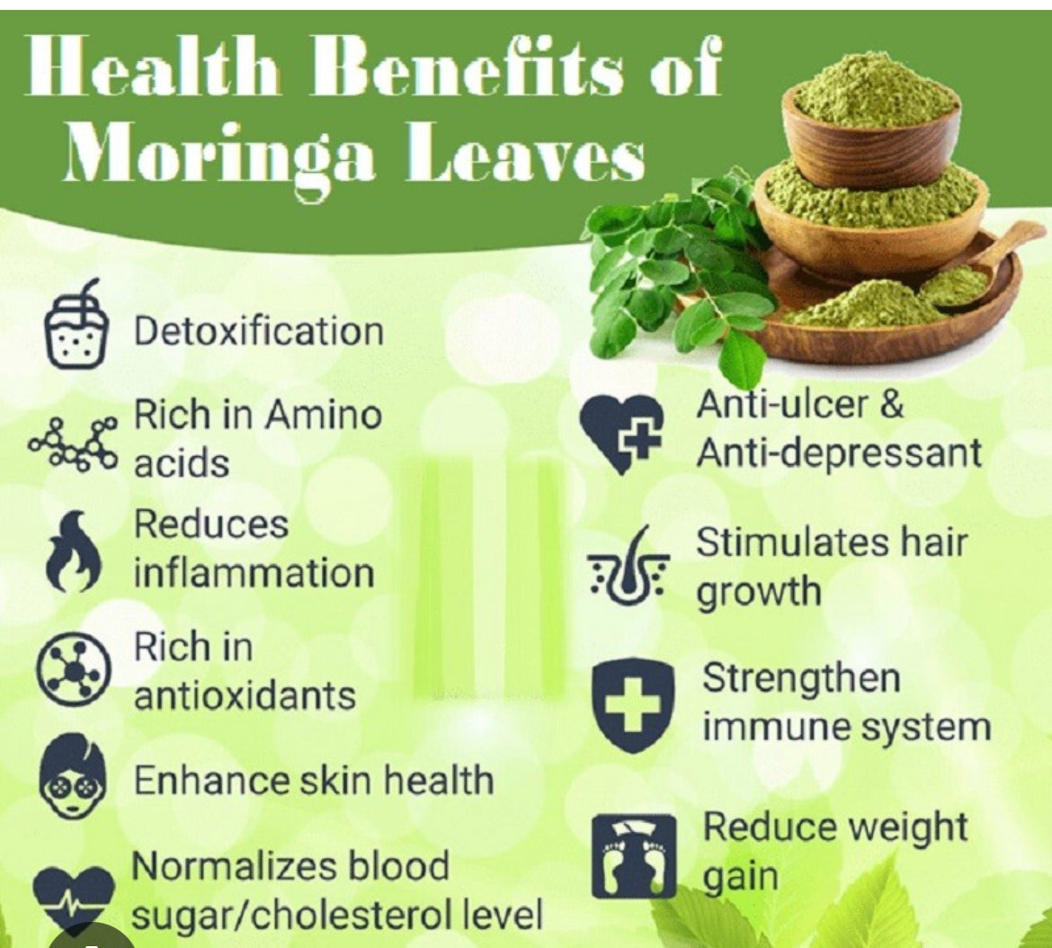 Moringa Leaves Herb