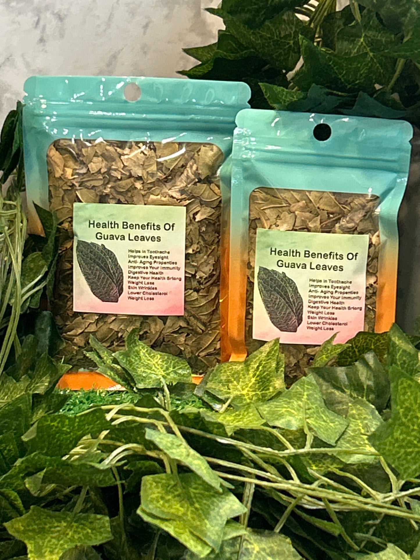 Guava Leaves Herb