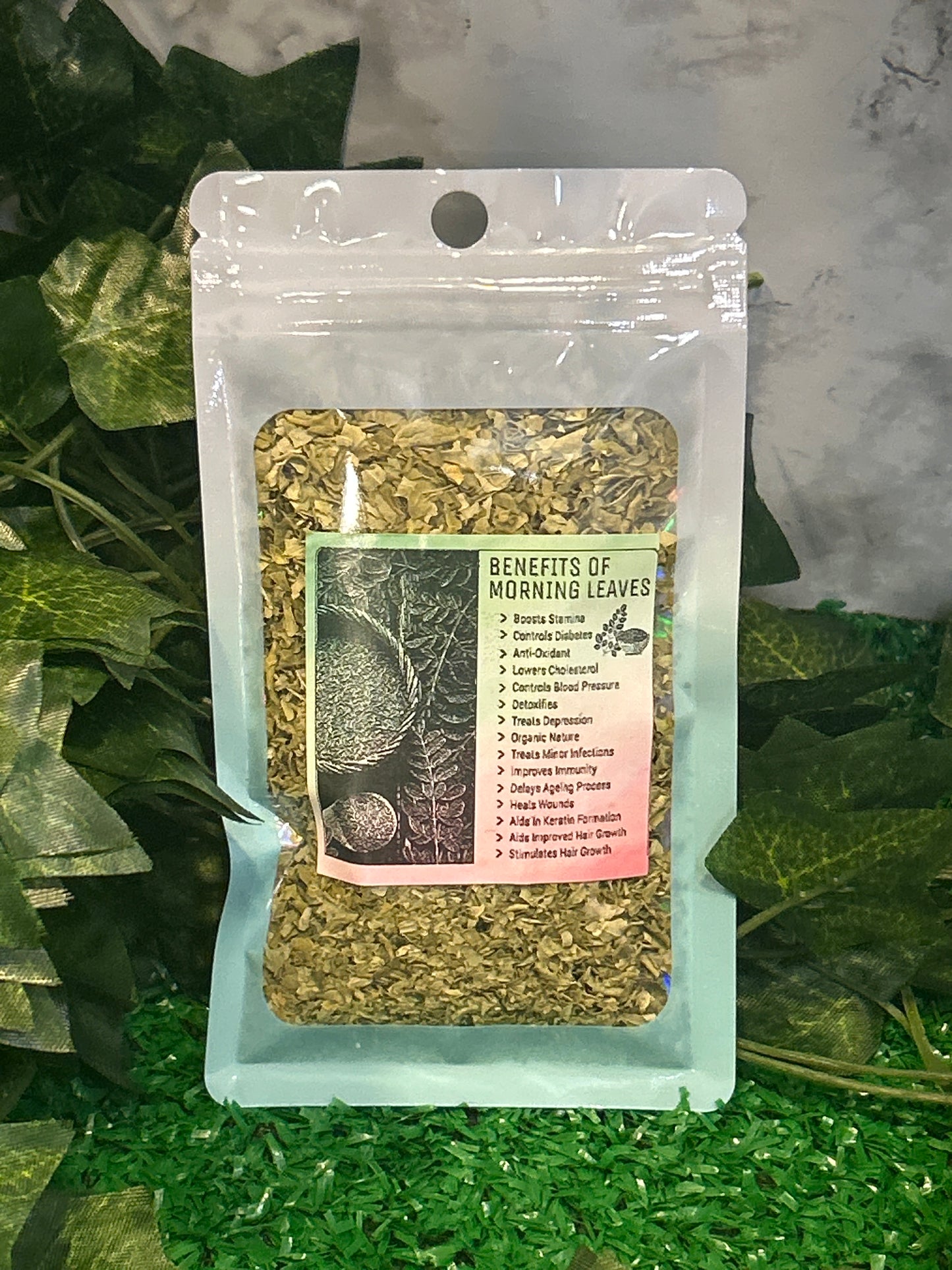 Moringa Leaves Herb