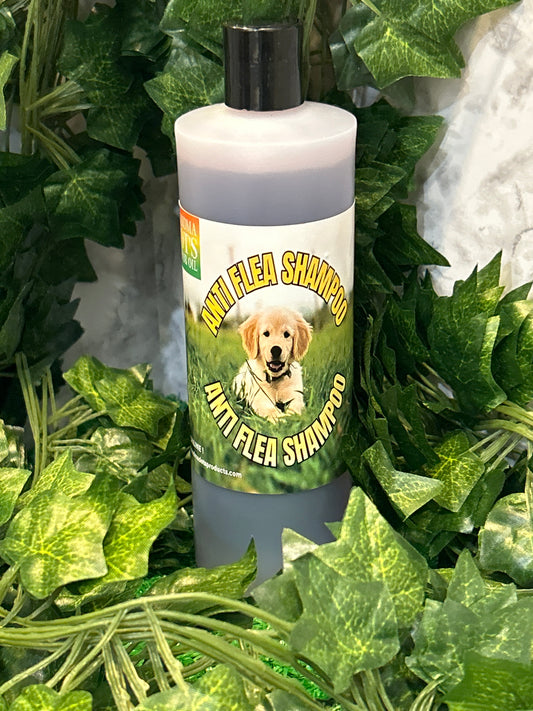 Grandma Dot’s Castor Oil “Anti Flea Shampoo”
