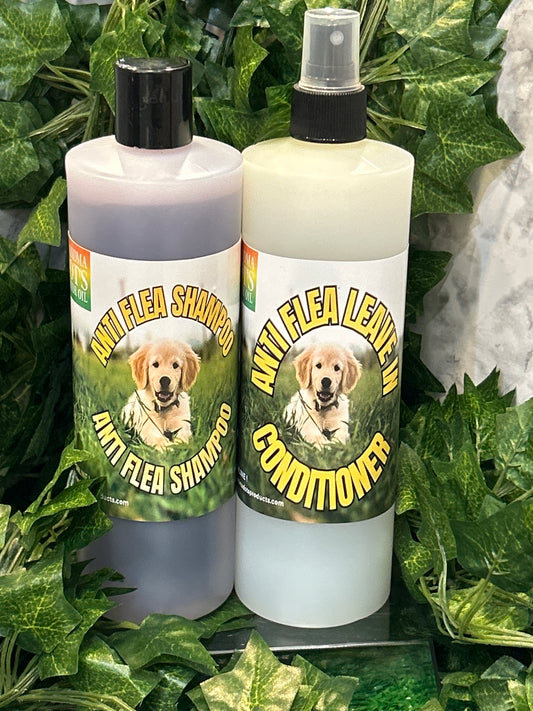 Grandma Dot’s Castor Oil “Anti Flea Shampoo & Conditioner Set”