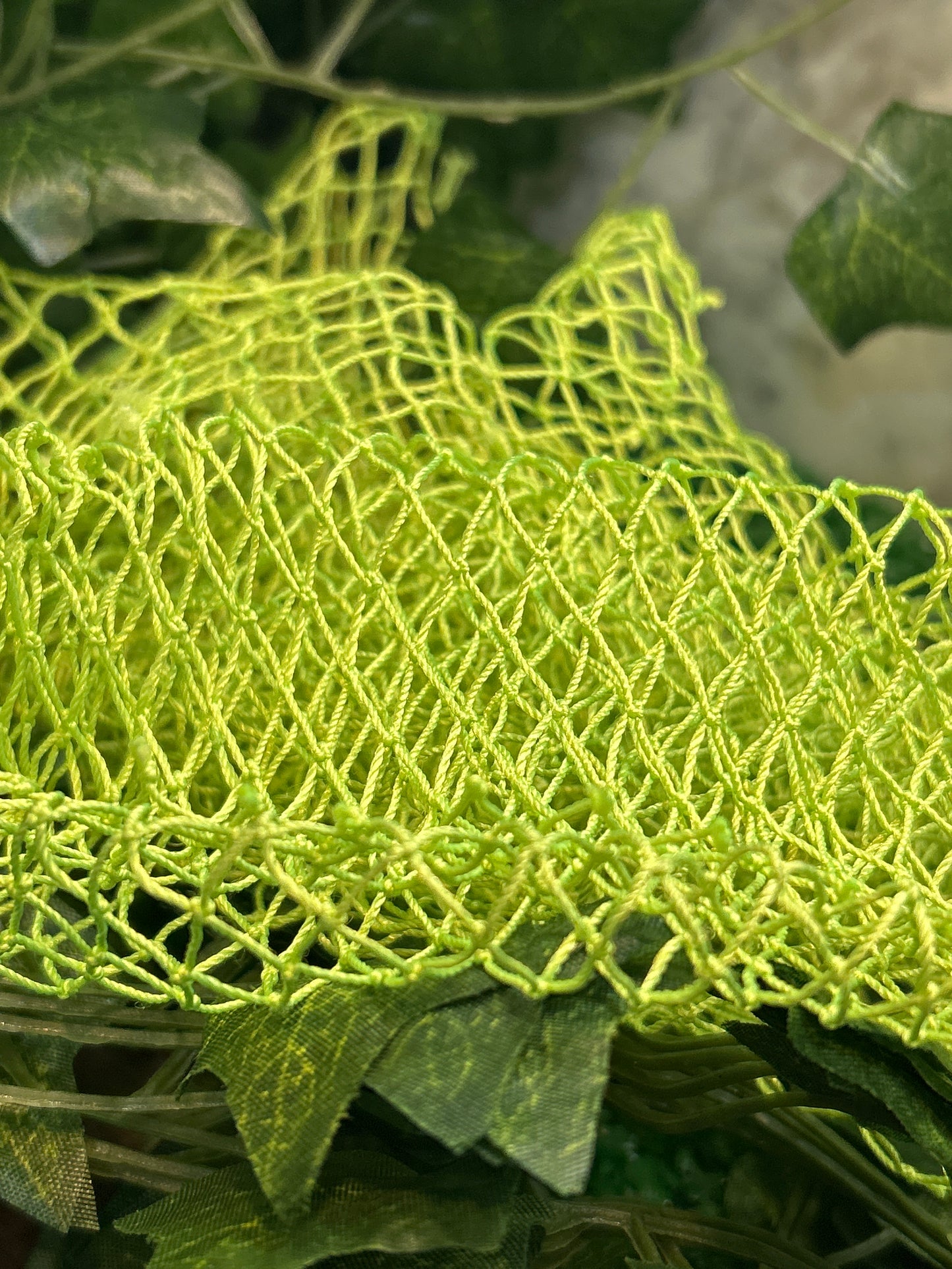 Authentic African Net Sponge