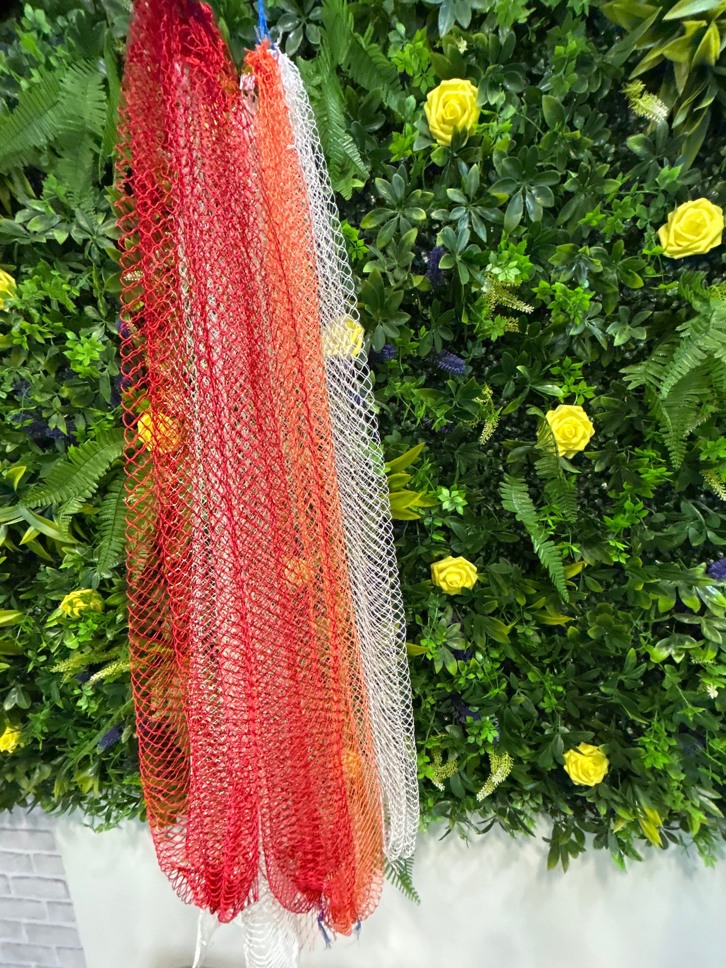 Authentic African Net Sponge