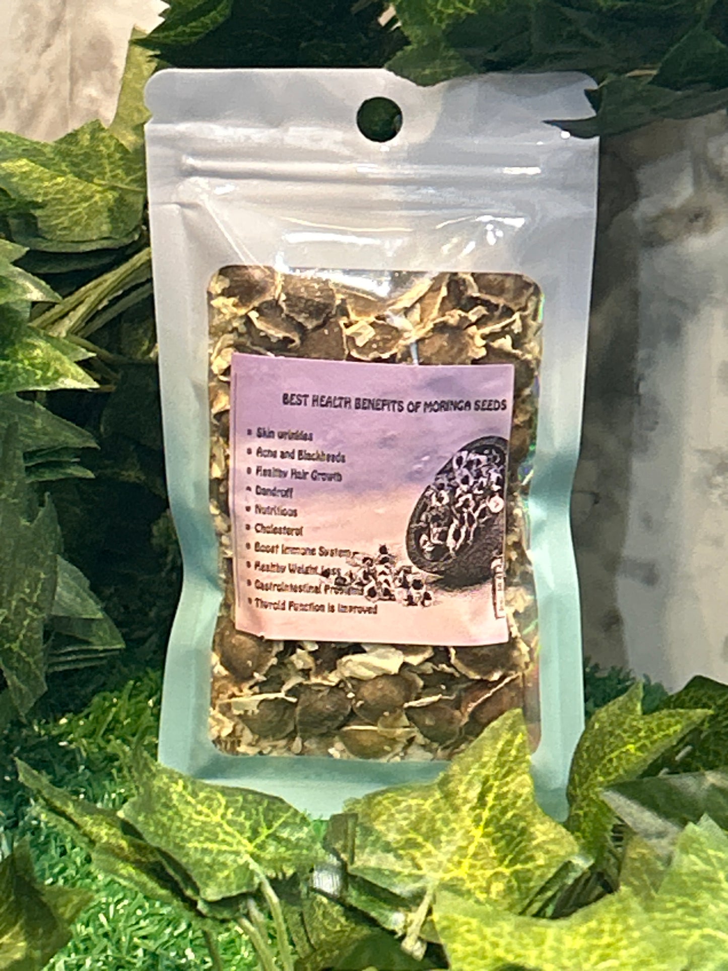 Moringa Seeds Herb