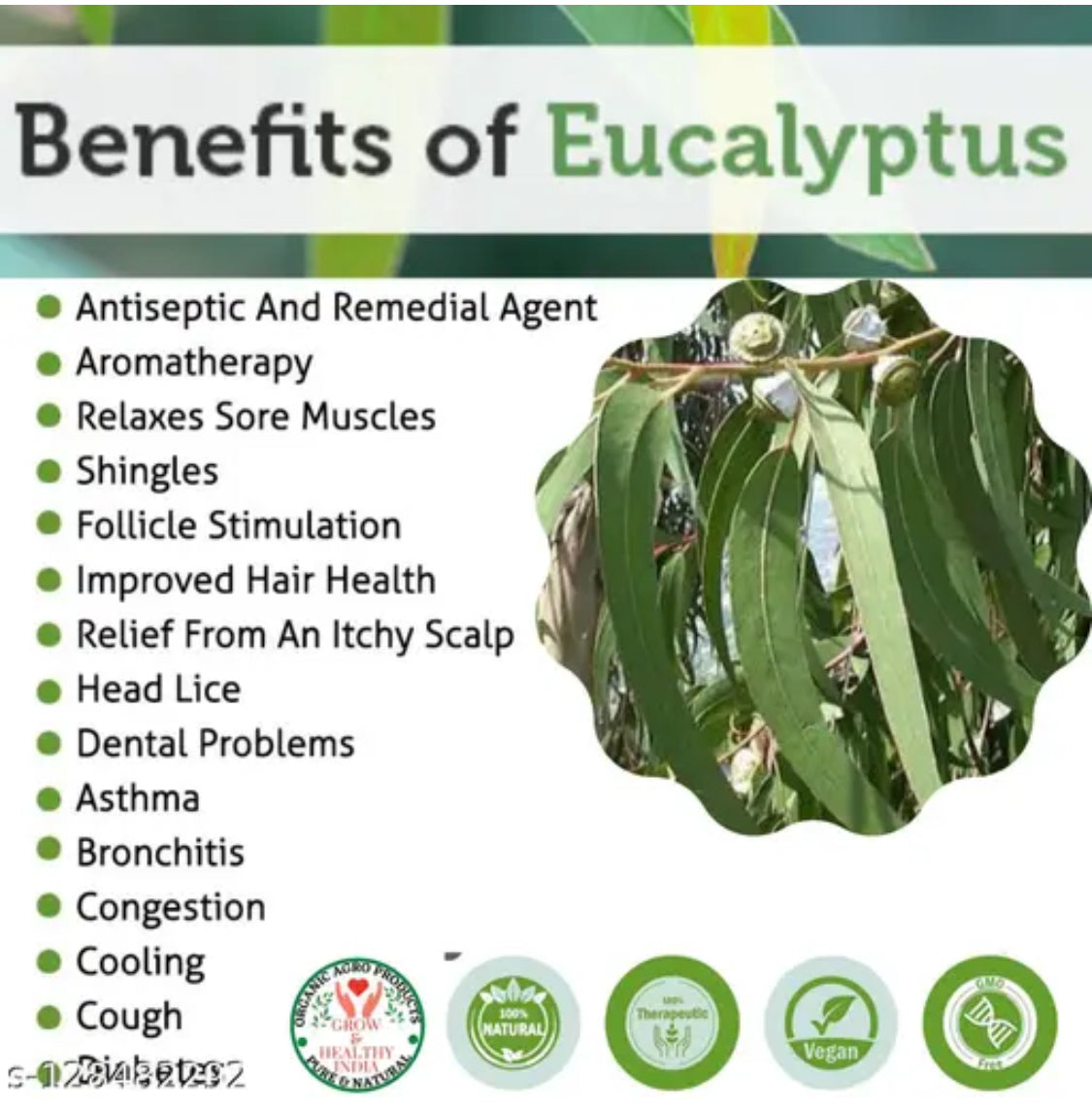 Eucalyptus Herb