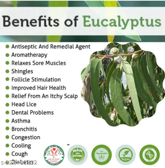 Eucalyptus Herb