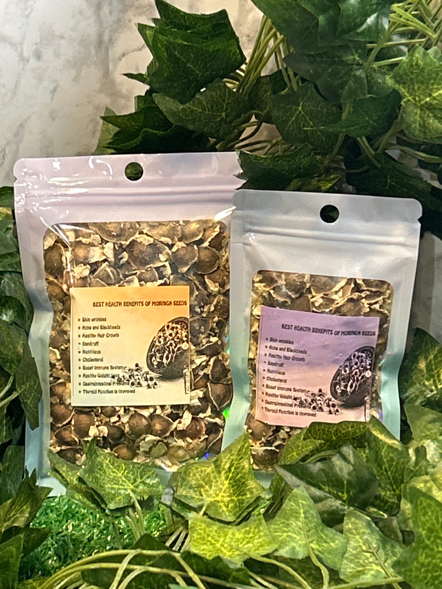 Moringa Seeds Herb