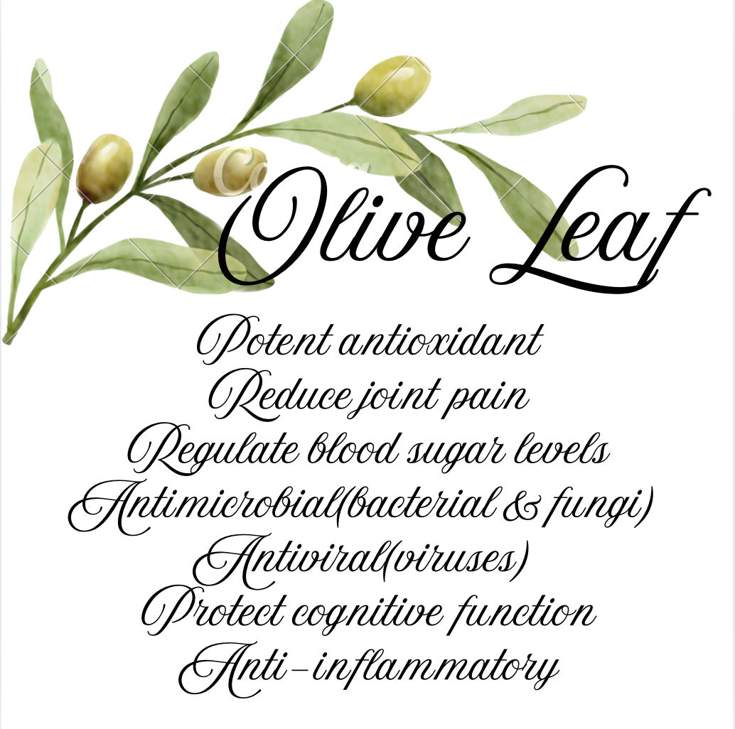 Olive Leaf Herb