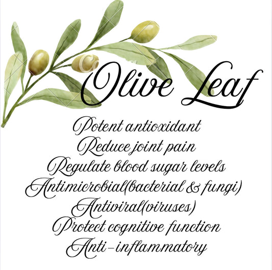 Olive Leaf Herb