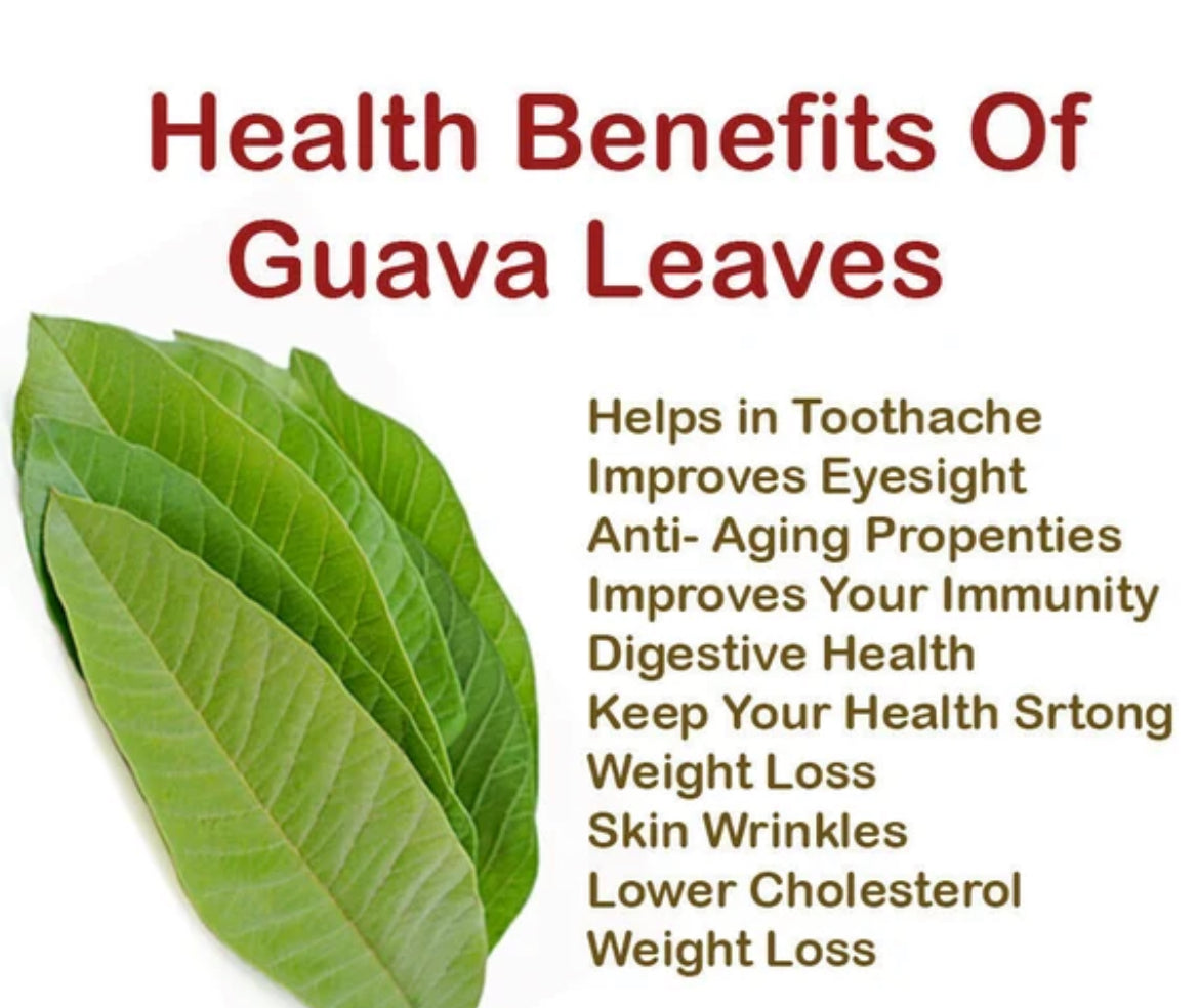 Guava Leaves Herb