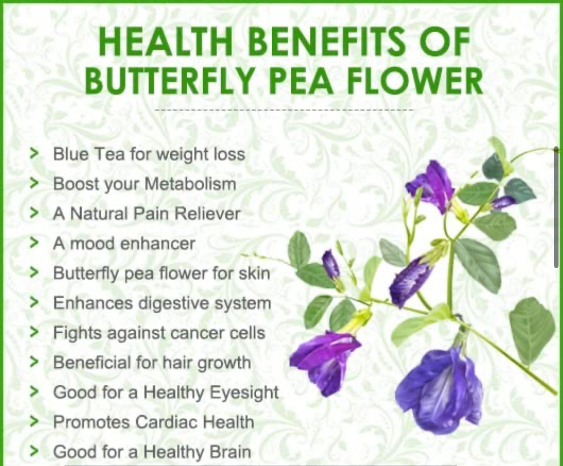 BUTTERFLY PEA Herb